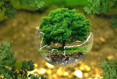 Услуги в области экологии