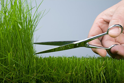 Покос травы